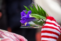 20260217-ehrenfelderzug-142