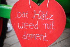 20260217-ehrenfelderzug-29