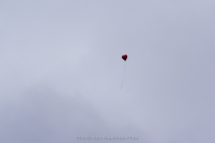 20260217-ehrenfelderzug-337