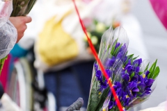 20260217-ehrenfelderzug-366