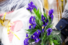 20260217-ehrenfelderzug-93